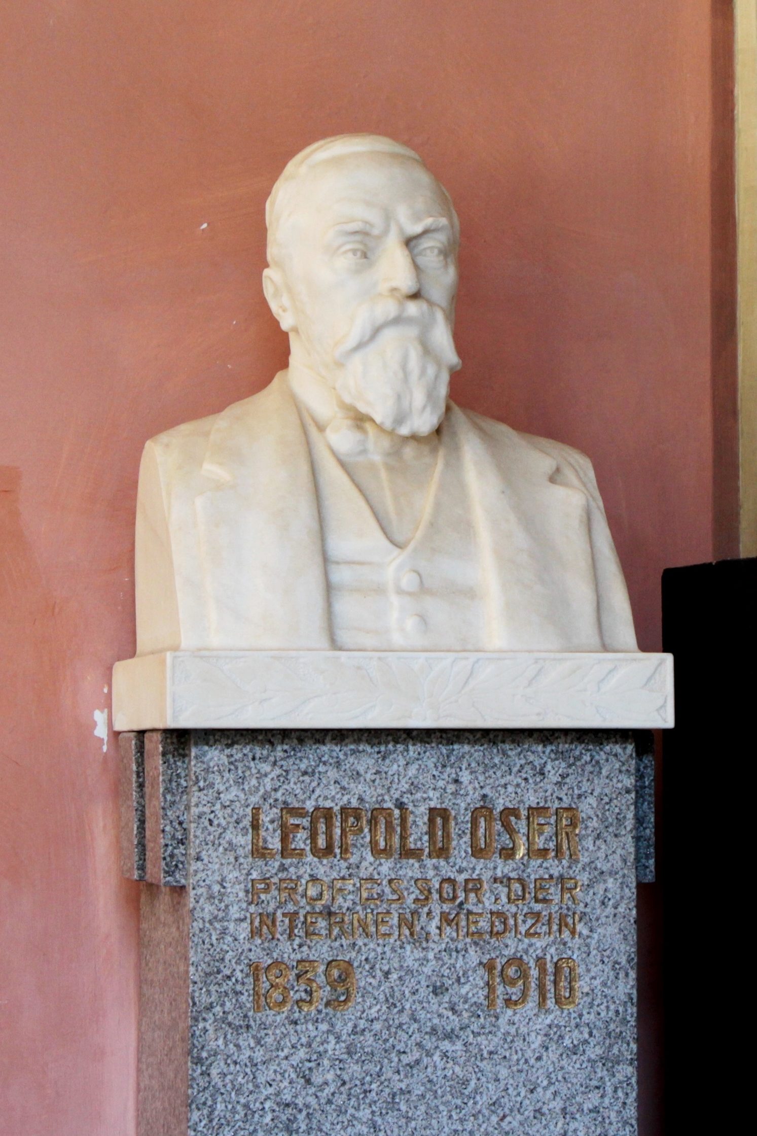 Leopold%20Oser%27s%20bust%2C%20Medical%20monuments%2C%20UNI%20Vienna%20-%2002.JPG